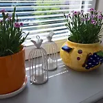 Comfort In Warsaw Apartment